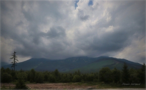<p>Slovensko</p>